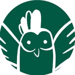 Icono gallo
